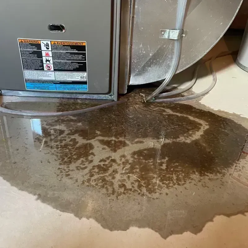 Appliance Leak Cleanup in Springfield, IL